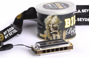 SEYDEL BLUES BIG SIX KEY OF C, 12 STAINLESS STEEL REEDS, SEALED