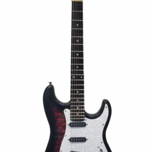 Palmer PE-CoreXL Electric Guitar l Standard Series