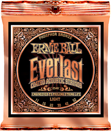 EVERLAST COATED PHOSPHOR BRONZE